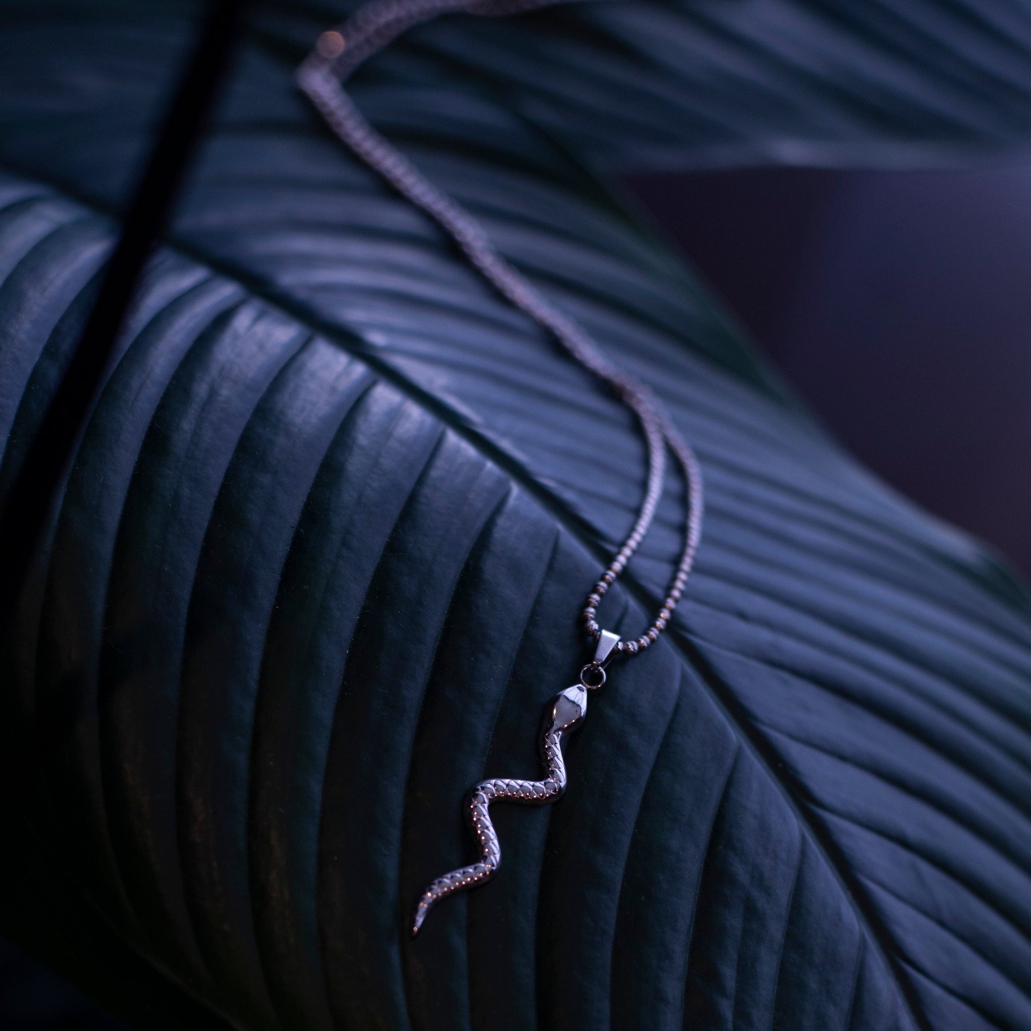Silver Snake Necklace